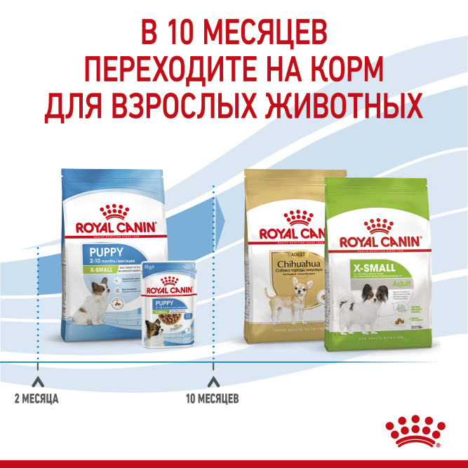 Royal Canin X - Small Puppy сухой корм для щенков миниатюрных пород - 500 г