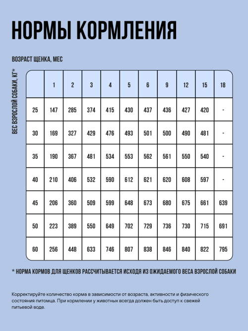 BOWL WOW сухой корм для щенков крупных пород с ягненком, индейкой, рисом и добавлением черники - 800 г
