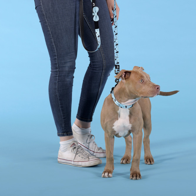 United Pets Complete me Writing ошейник для собак, M 34-56/2 см, голубой с рисунком