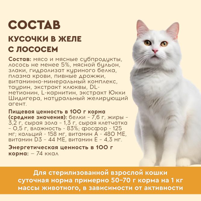 Chester влажный корм для взрослых стерилизованных кошек, кусочки в желе, с лососем, в ламистерах - 100 г х 16 шт