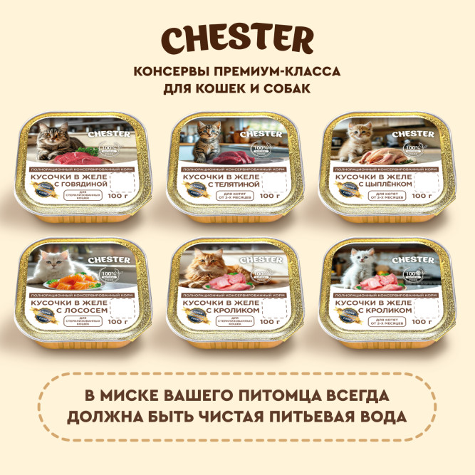 Chester влажный корм для взрослых стерилизованных кошек, кусочки в желе, с лососем, в ламистерах - 100 г х 16 шт