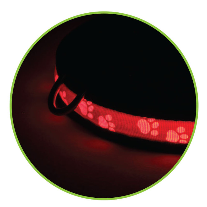 Triol Night City M ошейник светодиодный, 25х310-410 мм, оранжевый