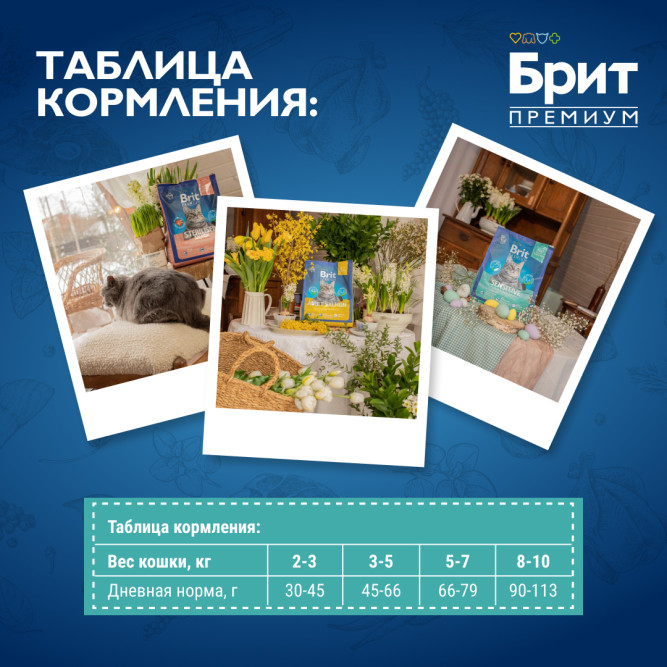 Brit Premium Cat Sensitive сухой корм для взрослых кошек с чувствительным пищеварением с ягненком и индейкой - 400 г