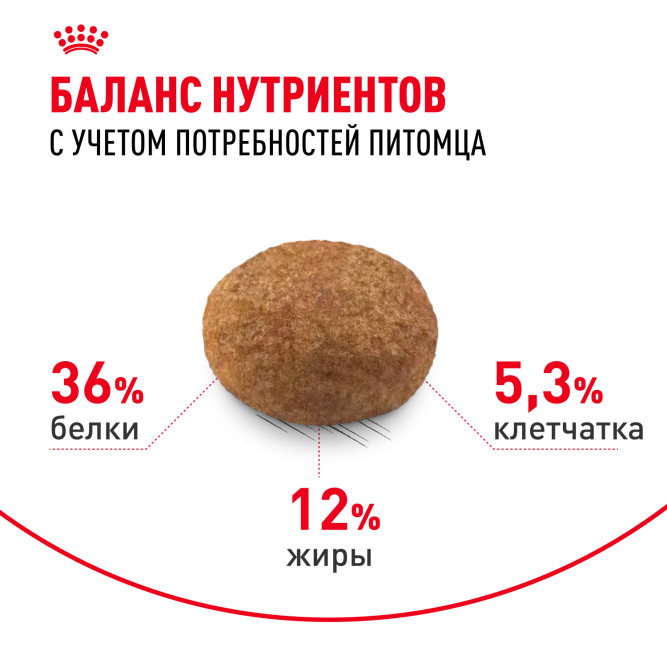 Royal Canin Sterilised 7+ сухой корм для стерилизованных кошек старше 7 лет - 3,5 кг
