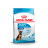 Royal Canin Maxi Junior сухой корм для щенков крупных пород с 2 до 15 месяцев - 15 кг