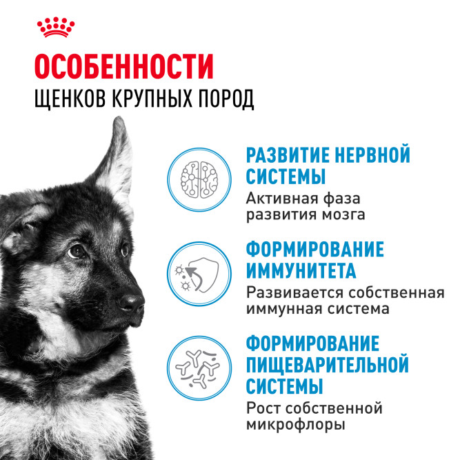 Royal Canin Maxi Junior сухой корм для щенков крупных пород с 2 до 15 месяцев - 15 кг