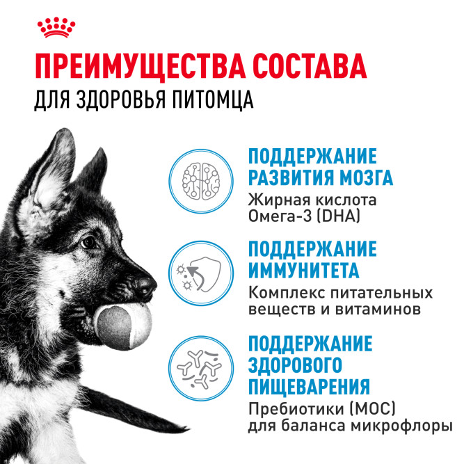 Royal Canin Maxi Junior сухой корм для щенков крупных пород с 2 до 15 месяцев - 15 кг