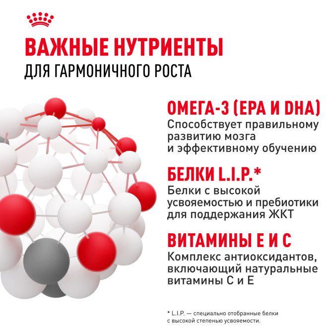 Royal Canin Maxi Junior сухой корм для щенков крупных пород с 2 до 15 месяцев - 15 кг