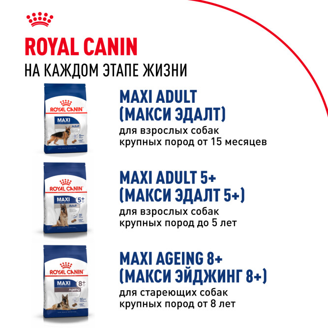 Royal Canin Maxi Junior сухой корм для щенков крупных пород с 2 до 15 месяцев - 15 кг