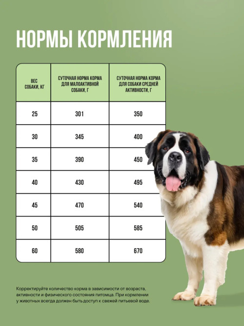 BOWL WOW сухой корм для взрослых собак крупных пород с ягненком, индейкой, рисом и цукини - 800 г