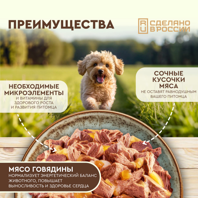 Chester влажный корм для взрослых собак всех пород, сочные кусочки мяса с говядиной в желе, в ламистерах - 100 г х 16 шт