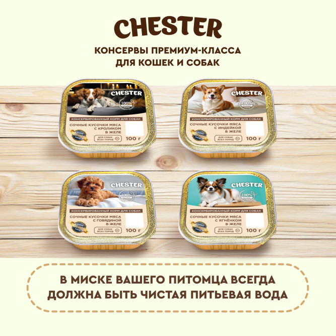Chester влажный корм для взрослых собак всех пород, сочные кусочки мяса с говядиной в желе, в ламистерах - 100 г х 16 шт