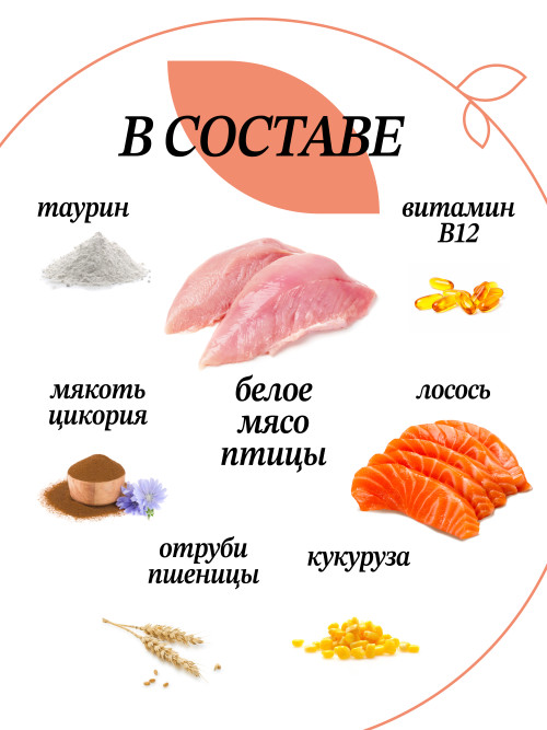 Chat&amp;Chat Adult Sterilized Salmon сухой корм для взрослых стерилизованных кошек со вкусом лосося - 2 кг