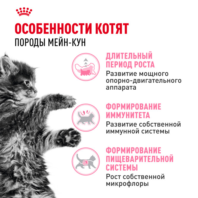Royal Canin Maine Coon Kitten сухой корм для котят породы Мейн Кун до 15 месяцев - 10 кг