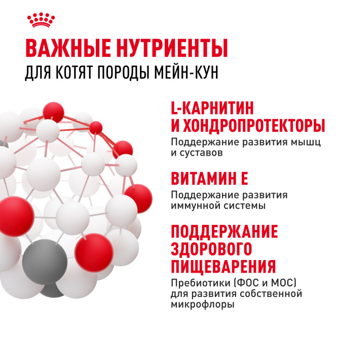 Royal Canin Maine Coon Kitten сухой корм для котят породы Мейн Кун до 15 месяцев - 10 кг