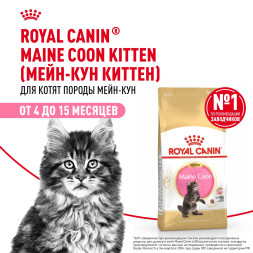 Royal Canin Maine Coon Kitten сухой корм для котят породы Мейн Кун до 15 месяцев - 10 кг