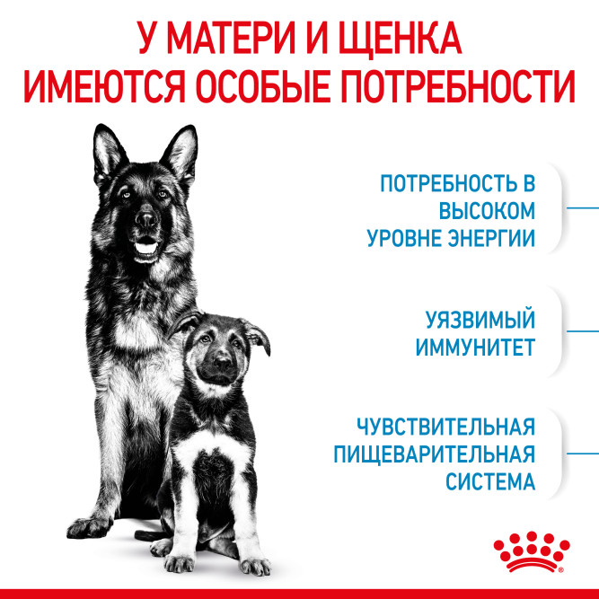 Royal Canin Maxi Starter сухой корм для щенков крупных пород в период отъема до 2 - месячного возраста, беременных и кормящих сук - 15 кг