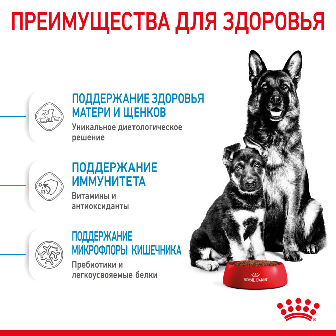 Royal Canin Maxi Starter сухой корм для щенков крупных пород в период отъема до 2 - месячного возраста, беременных и кормящих сук - 15 кг