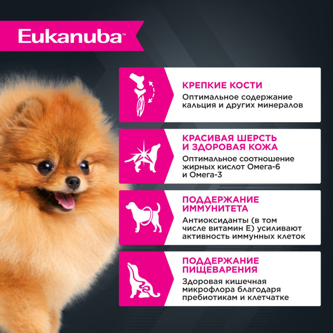 Влажный корм Eukanuba Adult Dog для собак с говядиной в соусе в паучах - 100 г х 24 шт