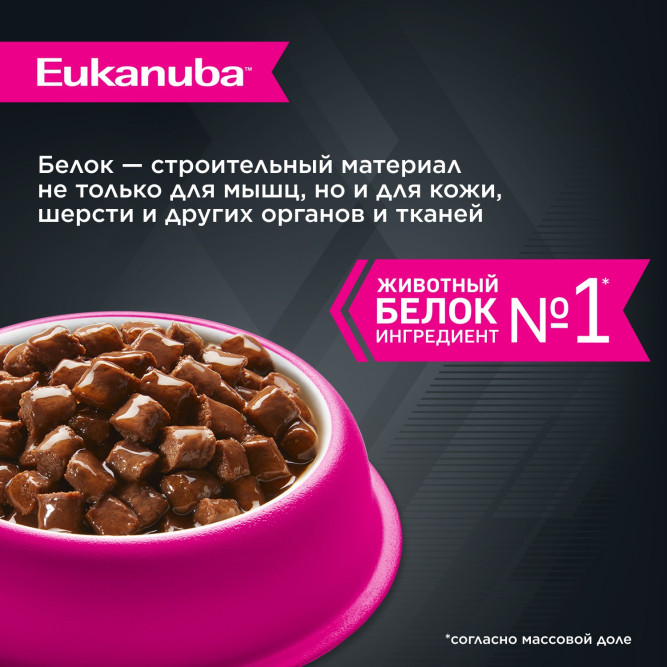 Влажный корм Eukanuba Adult Dog для собак с говядиной в соусе в паучах - 100 г х 24 шт
