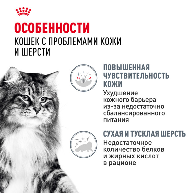 Royal Canin Hair&amp;Skin Care влажный корм для взрослых кошек, для поддержания здоровья кожи и красоты шерсти, тонкие ломтики в соусе, в паучах - 85 г х 28 шт