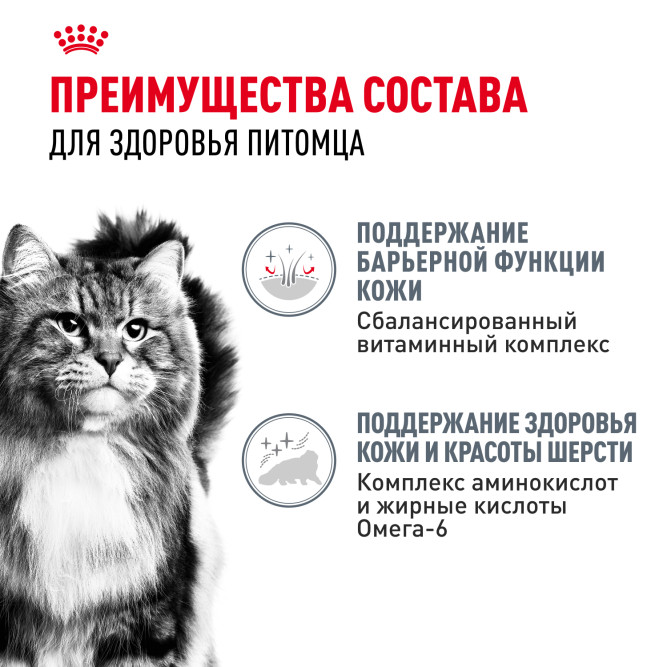 Royal Canin Hair&amp;Skin Care влажный корм для взрослых кошек, для поддержания здоровья кожи и красоты шерсти, тонкие ломтики в соусе, в паучах - 85 г х 28 шт