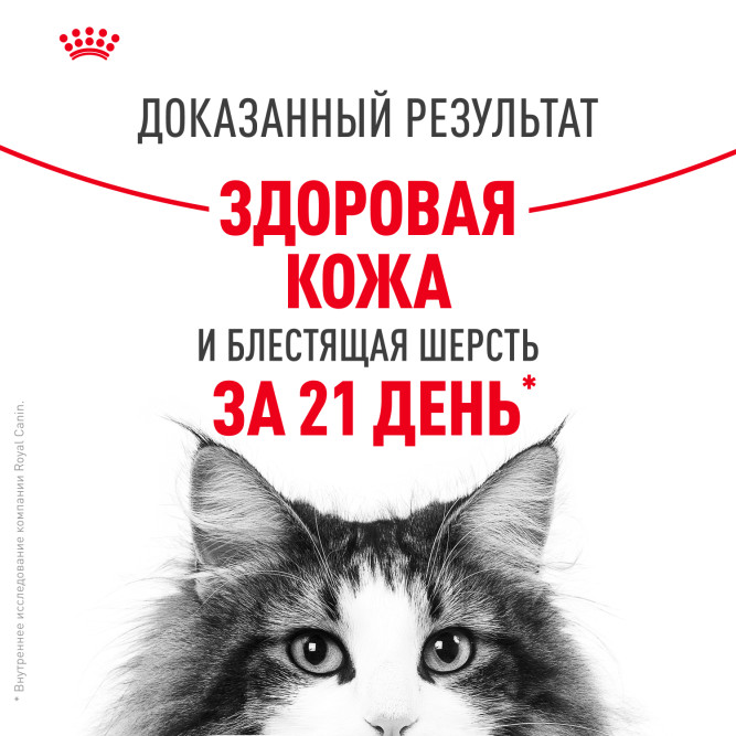 Royal Canin Hair&amp;Skin Care влажный корм для взрослых кошек, для поддержания здоровья кожи и красоты шерсти, тонкие ломтики в соусе, в паучах - 85 г х 28 шт