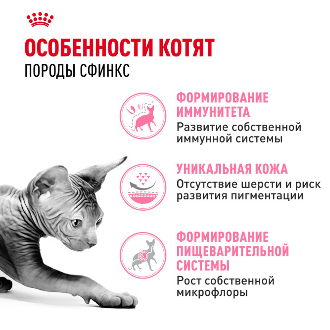 Royal Canin Sphynx Kitten сухой корм для котят пород Сфинкс до 12 месяцев - 400 гр