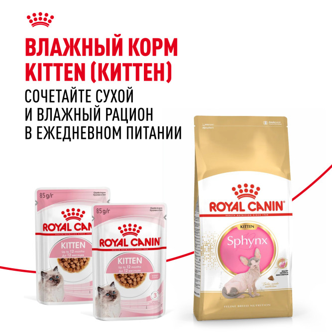 Royal Canin Sphynx Kitten сухой корм для котят пород Сфинкс до 12 месяцев - 400 гр