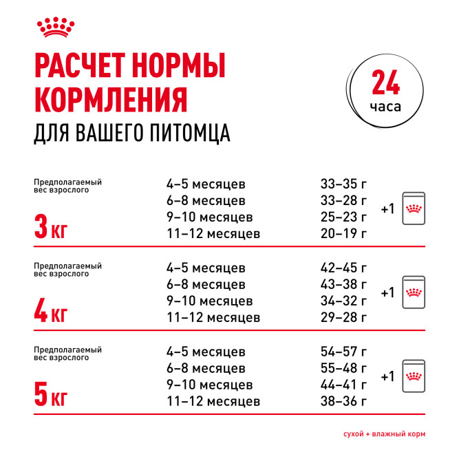 Royal Canin Sphynx Kitten сухой корм для котят пород Сфинкс до 12 месяцев - 400 гр