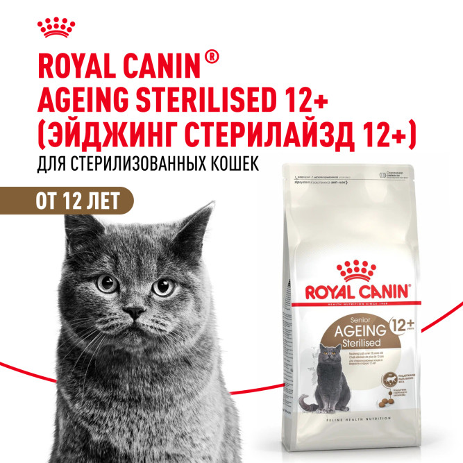 Royal Canin Ageing Sterilised 12+ сухой корм для стерилизованных пожилых кошек старше 12 лет - 4 кг