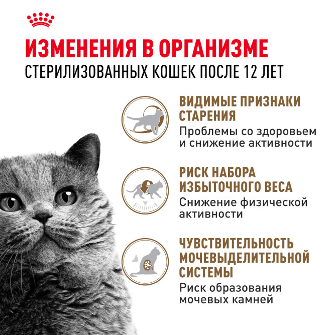 Royal Canin Ageing Sterilised 12+ сухой корм для стерилизованных пожилых кошек старше 12 лет - 4 кг