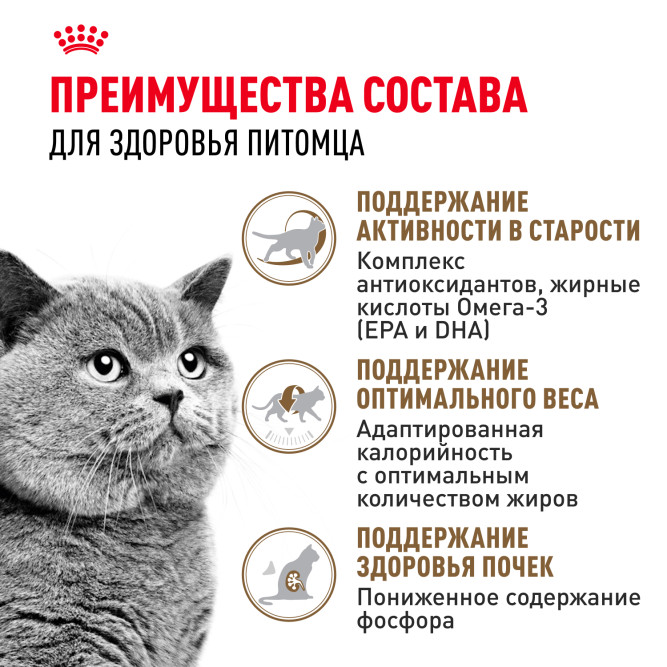 Royal Canin Ageing Sterilised 12+ сухой корм для стерилизованных пожилых кошек старше 12 лет - 4 кг