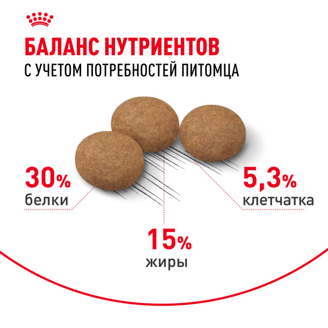 Royal Canin Ageing Sterilised 12+ сухой корм для стерилизованных пожилых кошек старше 12 лет - 4 кг