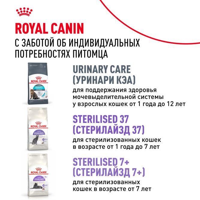 Royal Canin Ageing Sterilised 12+ сухой корм для стерилизованных пожилых кошек старше 12 лет - 4 кг