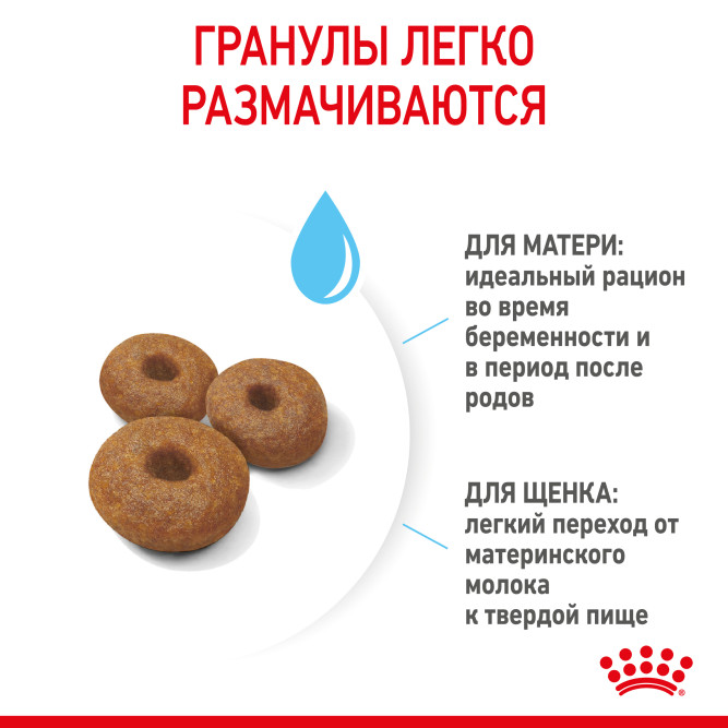 Royal Canin Maxi Starter Mother &amp; Babydog для щенков крупных размеров до 2-месяцев и сук в последней трети беременности и во время лактации - 4 кг