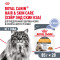 Royal Canin Hair&Skin Care влажный корм для взрослых кошек, для поддержания здоровья кожи и красоты шерсти, тонкие ломтики в желе, в паучах - 85 г х 28 шт