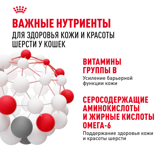 Royal Canin Hair&amp;Skin Care влажный корм для взрослых кошек, для поддержания здоровья кожи и красоты шерсти, тонкие ломтики в желе, в паучах - 85 г х 28 шт