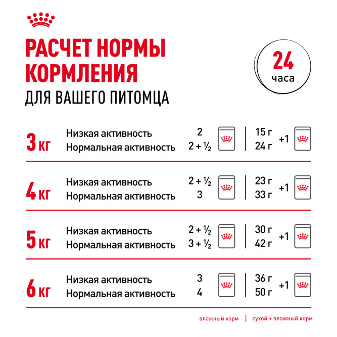 Royal Canin Hair&amp;Skin Care влажный корм для взрослых кошек, для поддержания здоровья кожи и красоты шерсти, тонкие ломтики в желе, в паучах - 85 г х 28 шт