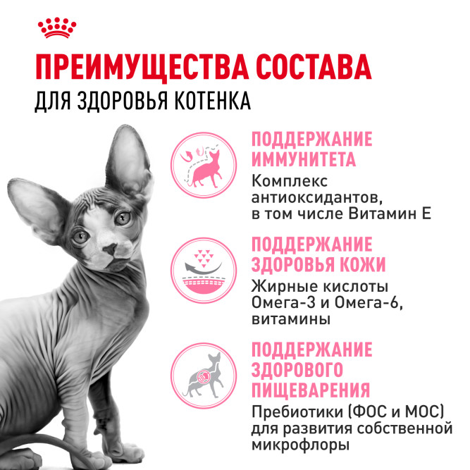 Royal Canin Sphynx Kitten сухой корм для котят пород Сфинкс до 12 месяцев - 2 кг