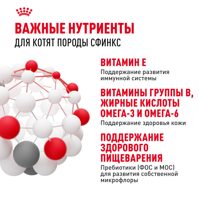 Royal Canin Sphynx Kitten сухой корм для котят пород Сфинкс до 12 месяцев - 2 кг