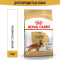 Royal Canin Cocker Adult корм для собак породы кокер-спаниель в возрасте от 12 месяцев - 3 кг