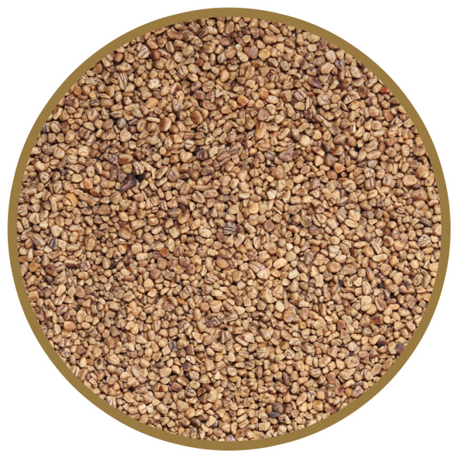 CAT STEP Olive Original наполнитель комкующийся растительный - 5 л