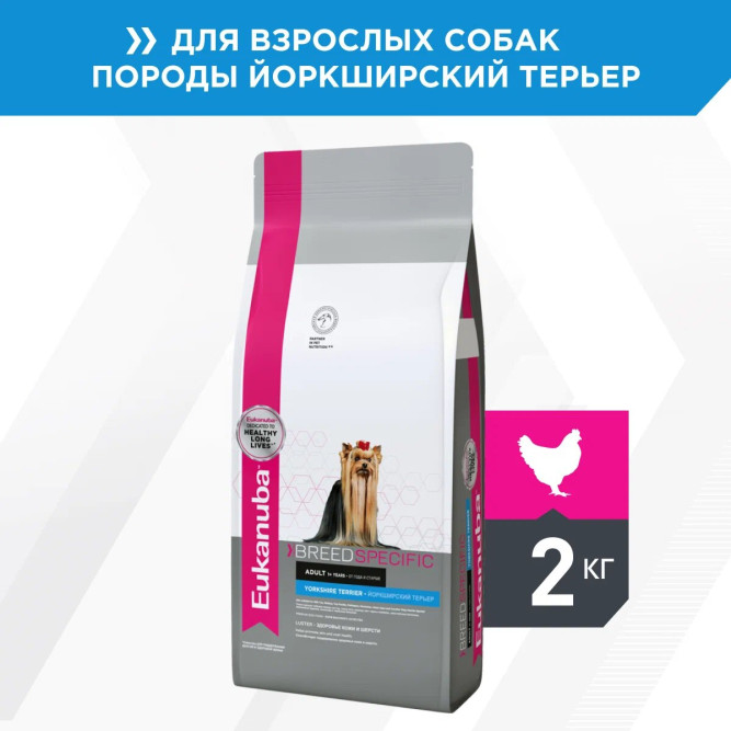 Сухой корм Eukanuba Dog Adult для собак породы йоркширский терьер - 2 кг