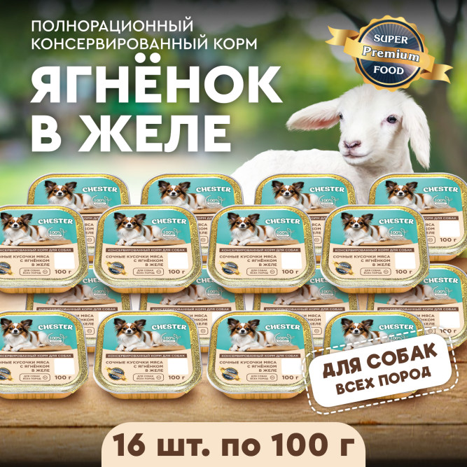 Chester влажный корм для взрослых собак всех пород, сочные кусочки мяса с ягненком в желе, в ламистерах - 100 г х 16 шт