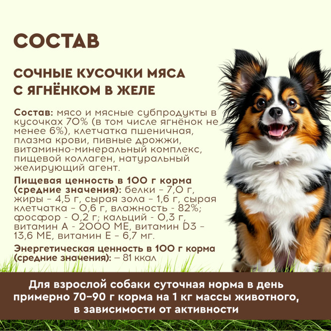 Chester влажный корм для взрослых собак всех пород, сочные кусочки мяса с ягненком в желе, в ламистерах - 100 г х 16 шт