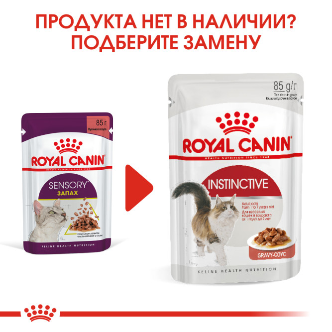 Royal Canin Sensory "Запах" паучи для взрослых кошек, кусочки в соусе - 85 гр х 12 шт