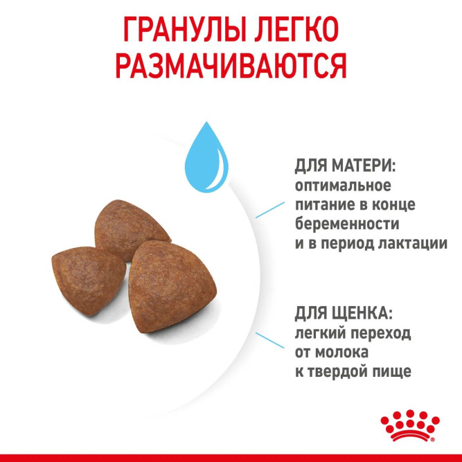Royal Canin Medium Starter Mother Babydog для щенков средних размеров до 2-месяцев и сук в последней трети беременности и во время лактации - 4 кг