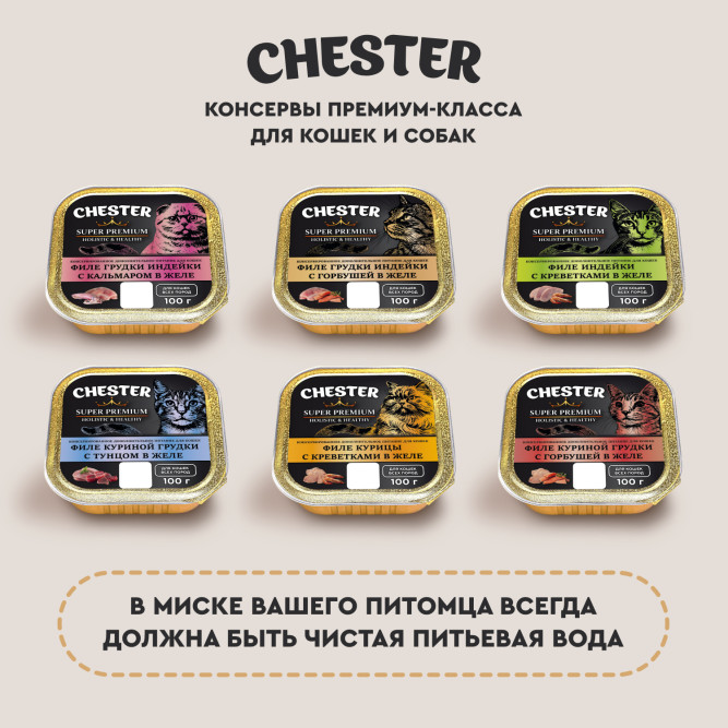 Chester влажный дополнительный корм для взрослых кошек, филе грудки индейки с кальмаром в желе, в ламистерах - 100 г х 16 шт