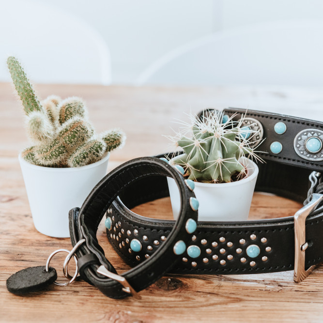 Hunter Madona S ошейник для собак, 29-37 см, натуральная кожа, черный, фурнитура с имитацией бирюзы